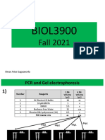 Week4 PCR Detailed Strategy