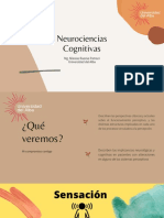 Neurociencias cognitivas: percepción y estructuras cerebrales