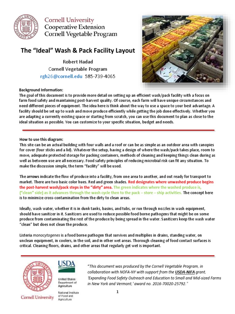 Wash and Pack Guide Lines | PDF | Pallet | Drainage