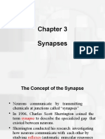 Chapter 3 - Synapses