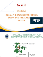 ORGAN DAN SISTEM HEWAN VERTEBRATA