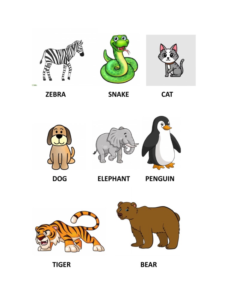 Animal Cards | PDF