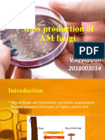 Mass Production of AM Fungi