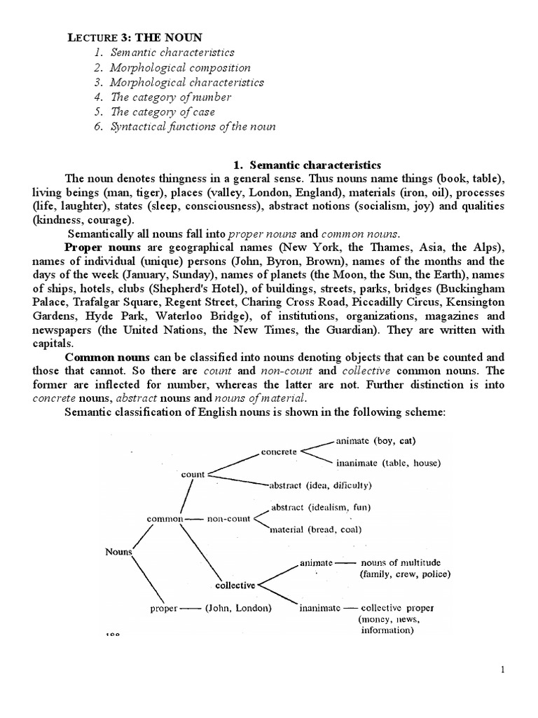 Lecture 3 The Noun | PDF | Grammatical Gender | Noun