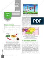 Fluxo de Energia: Aulas 11 E 12