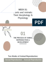 WEEK 01:: Plants and Animals: Their Morphology & Physiology