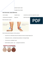 Fracturas óseas y luxaciones articulares: clasificación y tratamiento