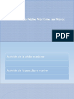 Pêche Maritime