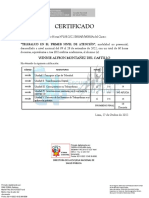 Certificado Telesalud