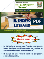 Ensayo Literario