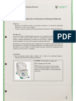 Práctica 1: Introducción Al Laboratorio de Biología Molecular