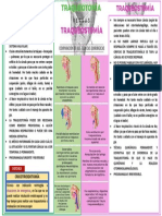 Infografia Trqueotomia VS Traqueostomia