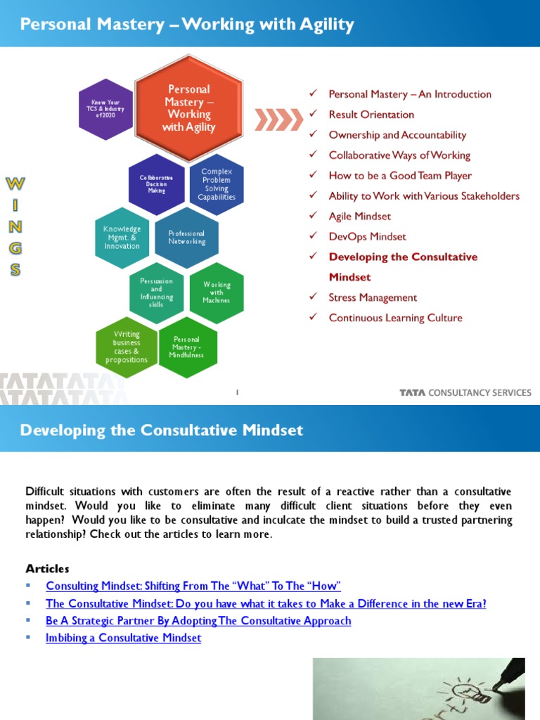 Developing The Consultative Mindset | PDF
