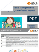 Introducción A La Orgánica de APS (Mais), SAPU/Salud Mental: Equipo ENF 700 2023
