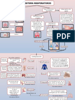 Sistema Respiratorio: Padecim Ientos