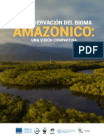 La Conservación Del Bioma Amazonico - Policy