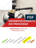 Desenvolvimento Do Processo