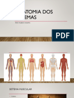 Anatomia Dos Sistemas: Prof. Rubens Cidarta