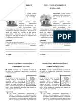 PROYECTO DE MEDIO AMBIENTE Fayer