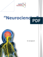 Nuevo Proyecto Neurociencias