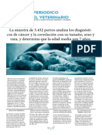 Periodico Vet Final