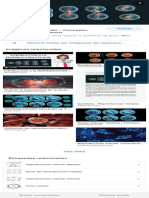 Mostrar Todas Las Imágenes de Reproduc : Reproducción Celular - Concepto, Fases, Meiosis y Mitosis