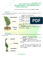 2.2 Diversidade Nas Plantas - Constituição Das Plantas Sem Flor