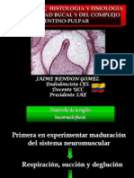 5345610 Embriologia Dental