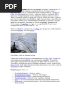 Banquisa ou banco de gelo é água do mar congelada