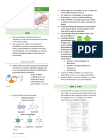 Constituição Do Dna