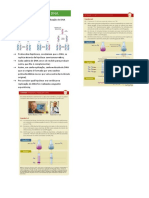 Replicação Do Dna