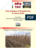Drip Irrigation of Raspberries in Heavy Soils: USDA-ARS Horticultural Crops Research Unit Corvallis, Oregon
