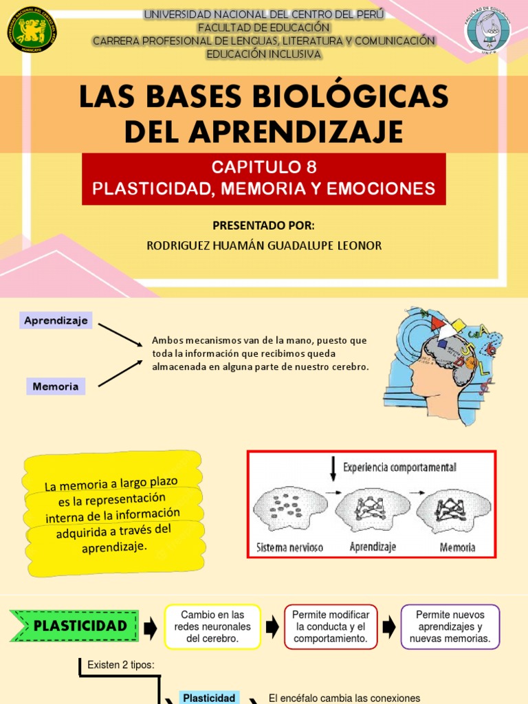 Bases Biológicas del Aprendizaje y Memoria | PDF | Las emociones | Cerebro
