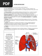 SISTEMA RESPIRATORIO