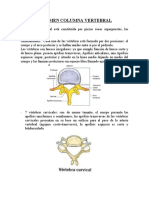 Osteologia Columna y Torax