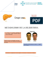 Metabolismo de La Bilirrubina: Grupo Uno