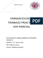 Trabajo Pracitco 1er Parcial