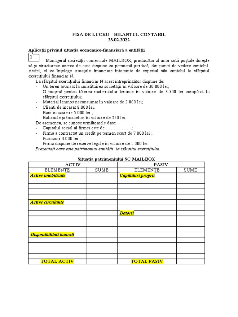 FISA DE LUCRU - Bilantul Contabil | PDF