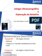 Nomenclatura descritiva ultrassonográfica de órgãos e lesões