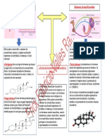 Hormona Sexual Femenina Hormona Sexual Masculina: ¿Qué Son Las Hormonas en Nuestra Madurez Sexual?