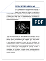 MUTACIONES CROMOSÓMICAS Ciencias