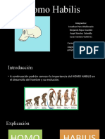 Homo Habilis