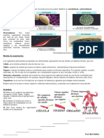 2 B - Niveles de Organización