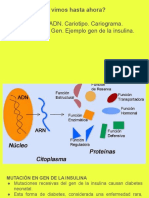 2da Presentación Bio 6to Dogma Central