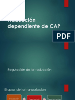 Traducción Dependiente de CAP