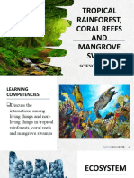 Rainforest, Coral Reef and Mangrove Ver. 02