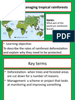 Lesson 7 Rainforest Management