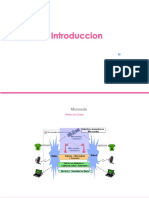 Resumen 1 Microonda