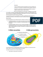 La Célula Es La Unidad Fundamental de Los Seres Vivos Que Contiene Todo El Material Necesario para Mantener Los Procesos Vitales Como Crecimiento