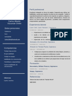 EJEMPLOS DE CV Carlos Vizconde CV 